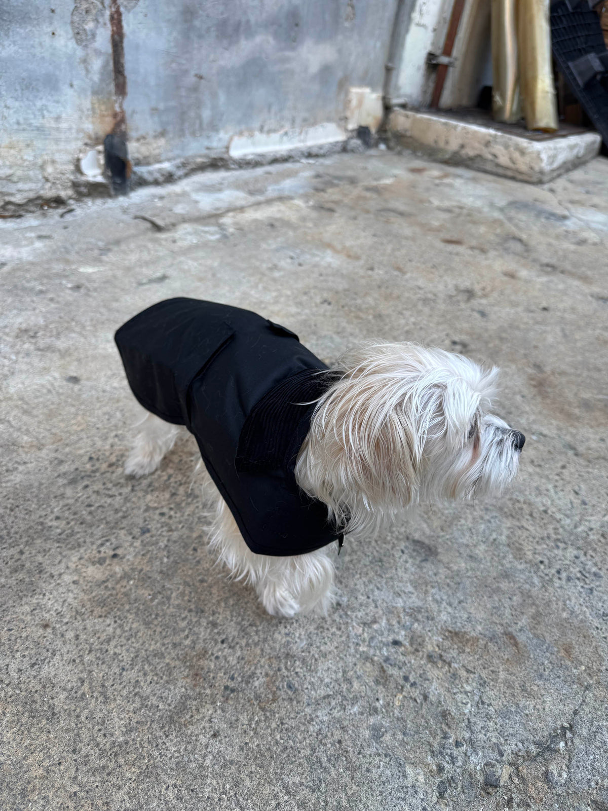 Barbour Slykoil Waxed Dog Coat  Black